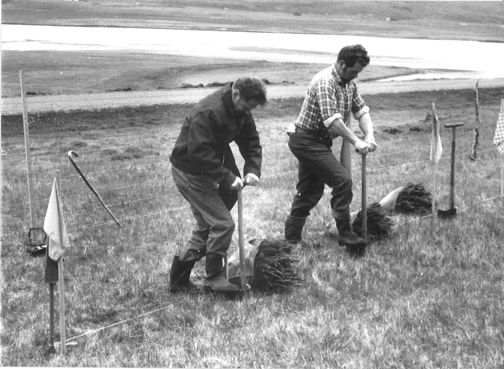 Eine natürliche Ressource der neuen Ära SaltyLava Nachrichten aus