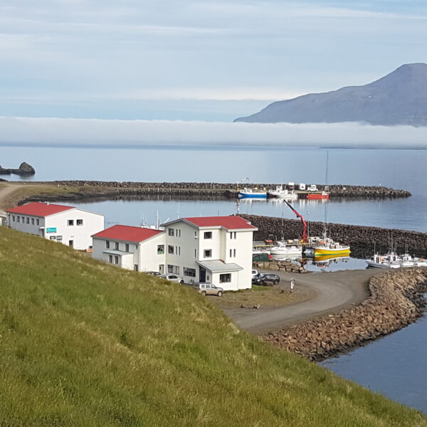 Grundversorgung in Islands dünn besiedelten Regionen: Fördermittel der Regierung vergeben