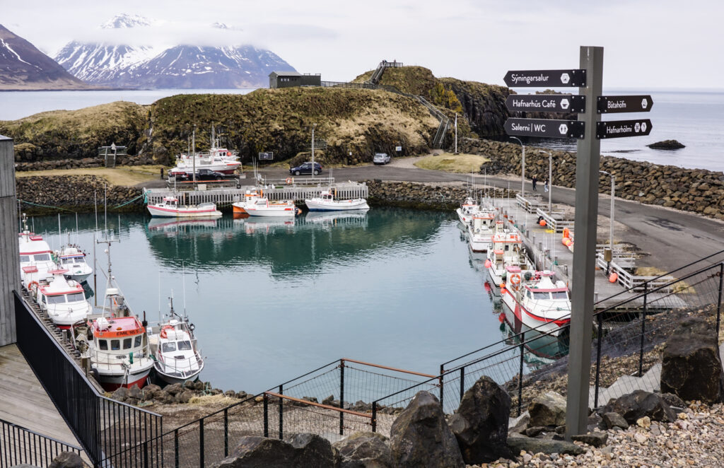 Hafnarholmi Borgarfjödur Eystri