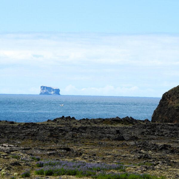 Erdbebenschwarm bei Eldey: Vulkanologen weitgehend einig – verschiedene Blickwinkel, gleiche Grundlinie