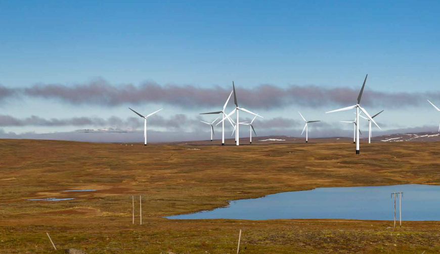 29 Windräder im Vogelschutzgebiet Laxárdalsheiði? Behörde warnt vor erheblichen Umweltschäden