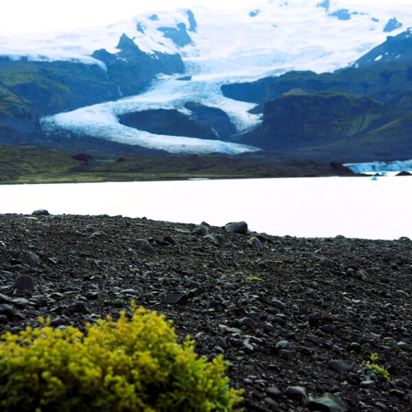 Island auf Platz 2 der glücklichsten Länder der Welt 2026