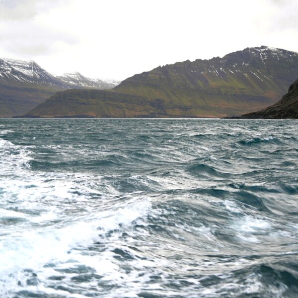 Atlantik vor Island so warm wie nie: Winter-Messungen brechen Rekorde