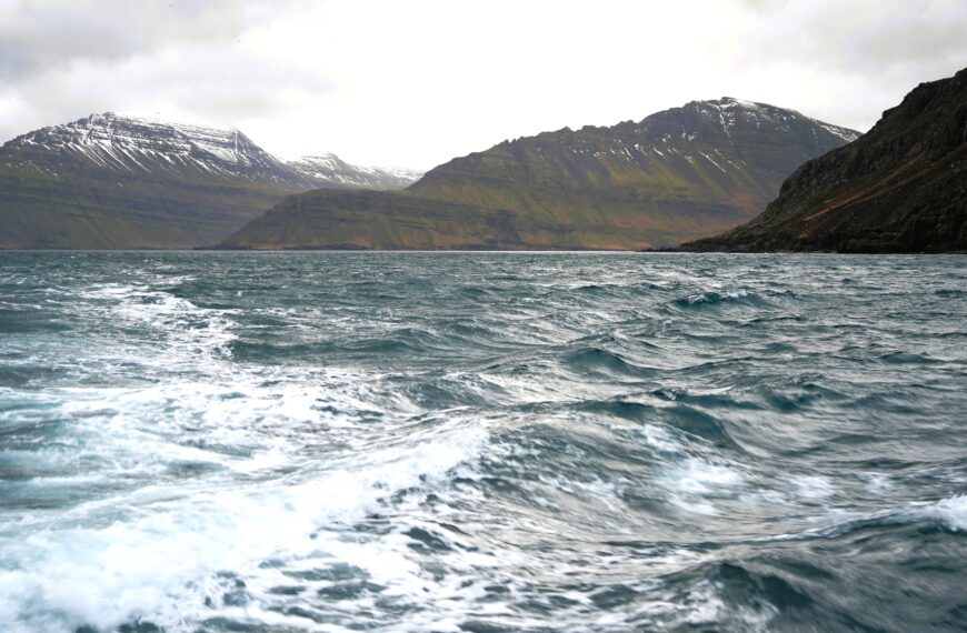 Meer zwischen Nord- und Mjoifjördur