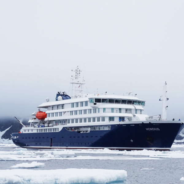 Kreuzfahrt Hantavirus: Island könnte MV Hondius die Einfahrt verweigern