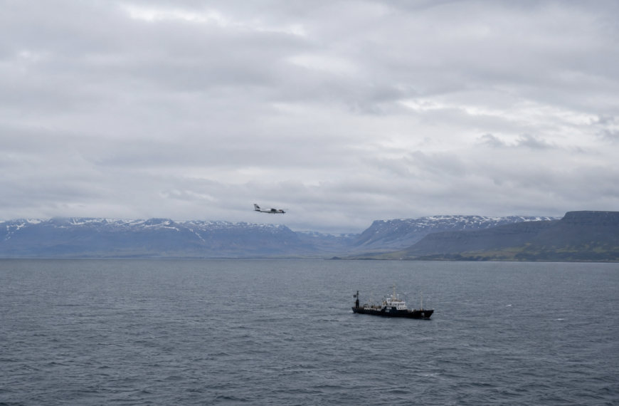 Island & Walfang: Alle Entwicklungen rund um die Bandero