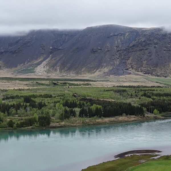 Selfoss: Neuer Campingplatz – Platz für 117 Camper und Tiny Houses