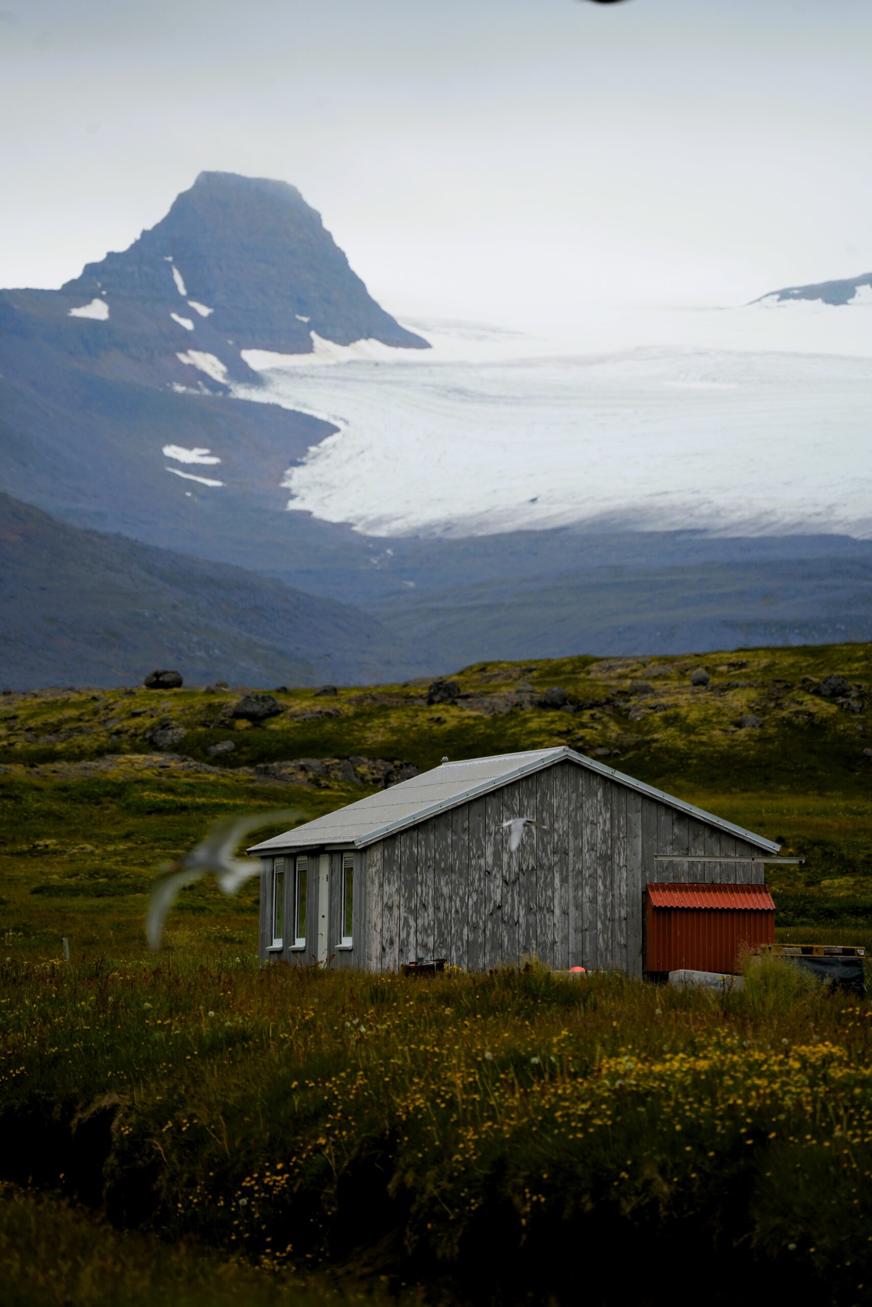 Drangajökull im Reykjarfjörður