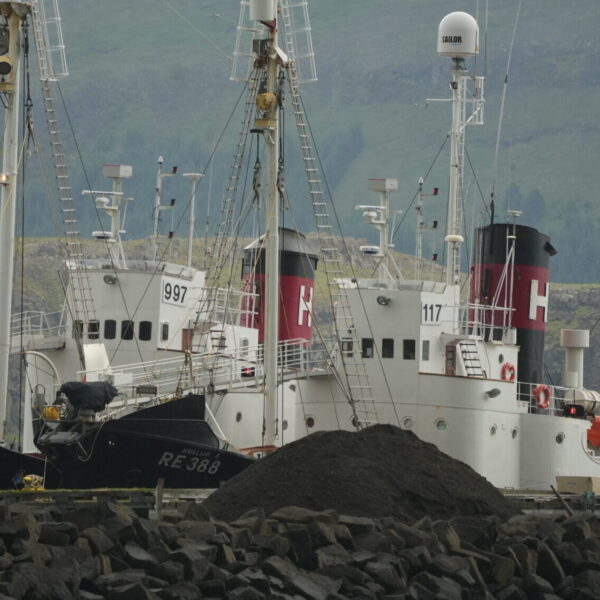 Nach Einwand von SALTY.LAVA: Reuters korrigiert Meldung zum Walfangverbot in Island