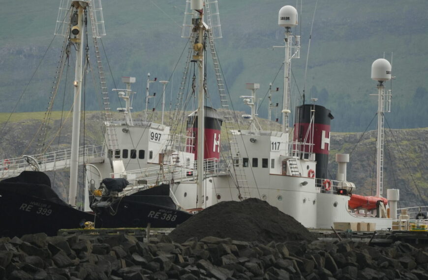 Nach Einwand von SALTY.LAVA: Reuters korrigiert Meldung zum Walfangverbot in Island